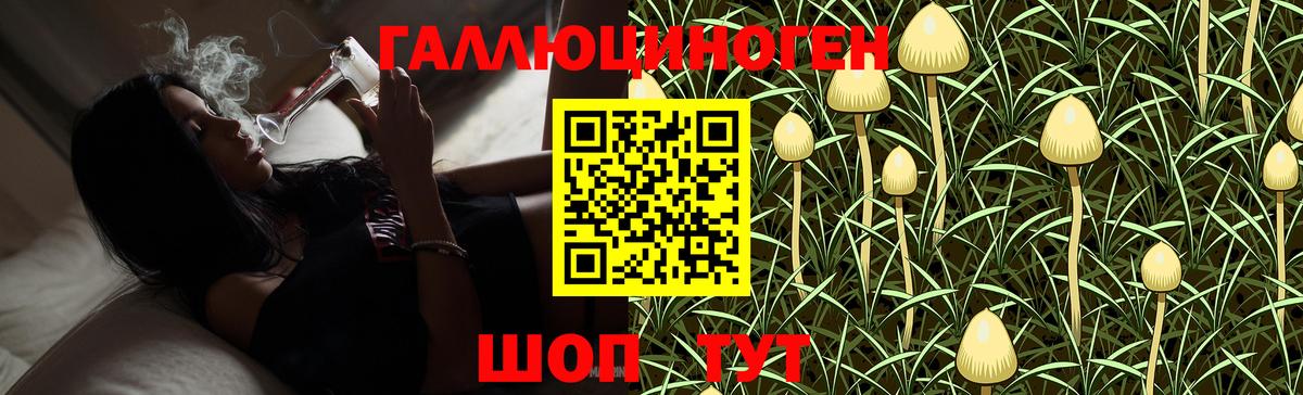 Приморско-Ахтарск  где продают наркотики  Вход с VPN  Галлюциногенные грибы ЛСД  Галлюциногенные грибы MAGIC MUSHROOMS 